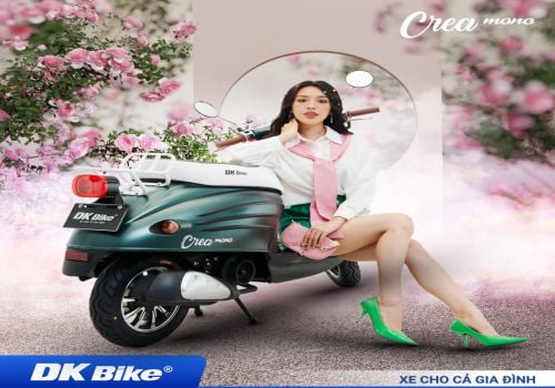 https://xedien2banh.com/image/cache/catalog/anh-danh-muc/crea-mono-dk-bike-2-500x350.jpg